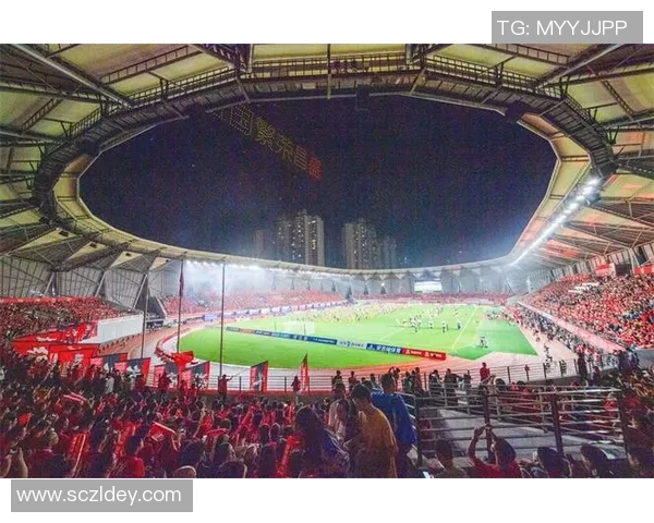 我是足球球星用第一人称讲述绿茵场上的奋斗与辉煌 我是足球球星用第一人称讲述绿茵场上的奋斗与辉煌